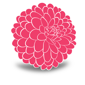 Ellenfarm Dahlias