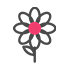 Farm Grown - Ellenfarm Dahlias