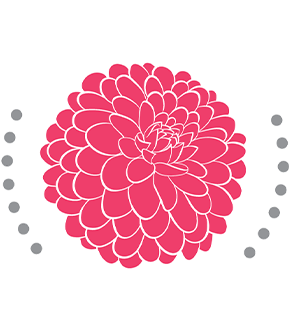 Ellen Farm Dahlias